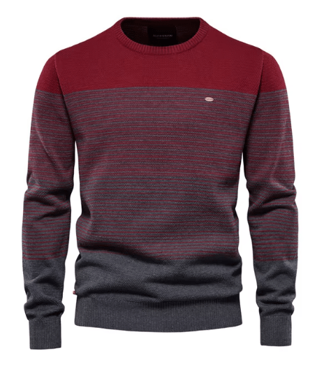 Daniel - Estiloso Pullover Masculino
